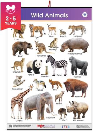 Jumbo Wild Animals Chart for Kids | Learn about Jungle or Forest Animals at  Home or School with Educational Wall Chart for Children | ( x   Inch) Paper Print - Animals