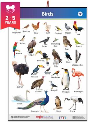 Birds Chart for Kids |Early Learning Birds Charts|Educational Chart for ...