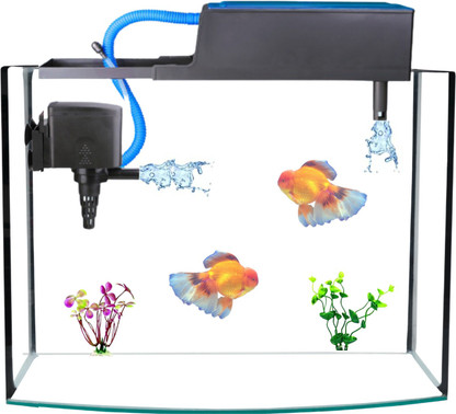 filter top aquarium