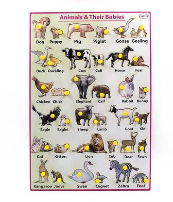 Comfort Traders Animals & Their Babies Knob Puzzle Price in India - Buy Comfort Traders Animals & Their Babies Knob Puzzle online at Comfort Traders Animals & Their Babies Knob Puzzle Price in India - Buy Comfort Traders Animals & Their Babies Knob Puzzle online at