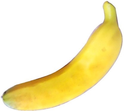 rubber banana dog toy