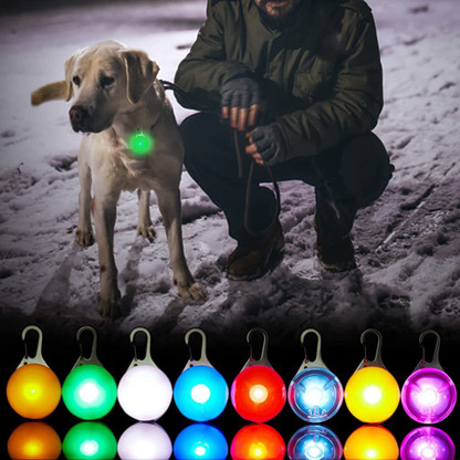 Night dog walking accessories on sale