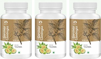 Jaisvi Garcinia Cambogia Extract Best Natural Health Combo ...