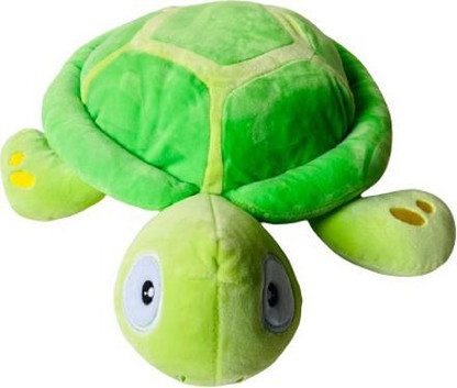 cute turtle teddy