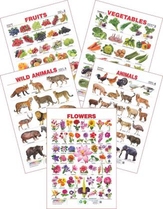 Spectrum Set of 5 Educational Wall Charts (Wild Animals, Domestic Animals,  Assorted Fruits 2, Vegetables 2 & Flowers) Price in India - Buy Spectrum  Set of 5 Educational Wall Charts (Wild Animals,