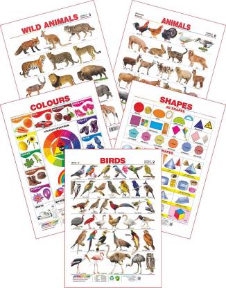 Spectrum Set of 5 Educational Wall Charts (Wild Animals, Domestic Animals,  Birds, Colours & Shapes) Price in India - Buy Spectrum Set of 5 Educational  Wall Charts (Wild Animals, Domestic Animals, Birds,