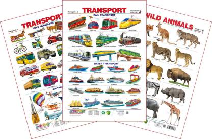Spectrum Set of 3 Educational Wall Charts (Transport 1, Transport 2 & Wild  Animals) Price in India - Buy Spectrum Set of 3 Educational Wall Charts ( Transport 1, Transport 2 & Wild Animals) online at 