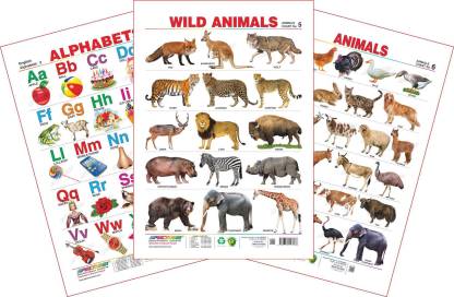 Spectrum Set of 3 Educational Wall Charts (English Alphabets, Wild Animals  & Domestic Animals) Price in India - Buy Spectrum Set of 3 Educational Wall  Charts (English Alphabets, Wild Animals & Domestic