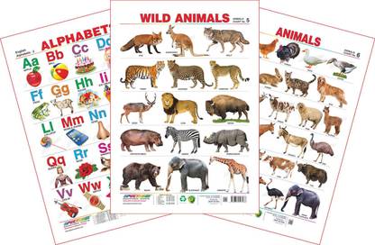 Spectrum Set of 3 Educational Wall Charts (English Alphabets, Wild Animals & Domestic Animals) Price in India - Buy Spectrum Set of 3 Educational Wall Charts (English Alphabets, Wild Animals & Domestic Spectrum Set of 3 Educational Wall Charts (English Alphabets, Wild Animals & Domestic Animals) Price in India - Buy Spectrum Set of 3 Educational Wall Charts (English Alphabets, Wild Animals & Domestic