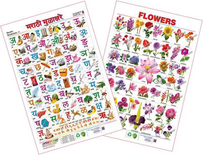 spectrum combo educational wall chart english alphabets marathi mulakshare flowers assorted fruits 1 price in india buy spectrum combo educational wall chart english alphabets marathi mulakshare flowers assorted fruits