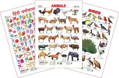 Spectrum Set of 3 Educational Wall Charts (Hindi Varnamala, Domestic Animals  & Birds 1) Price in India - Buy Spectrum Set of 3 Educational Wall Charts ( Hindi Varnamala, Domestic Animals & Birds
