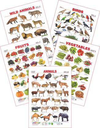 Spectrum Set of 5 Educational Wall Charts (Wild Animals, Birds, Assorted  Fruits 1, Vegetables 1 & Domestic Animals) Price in India - Buy Spectrum  Set of 5 Educational Wall Charts (Wild Animals,