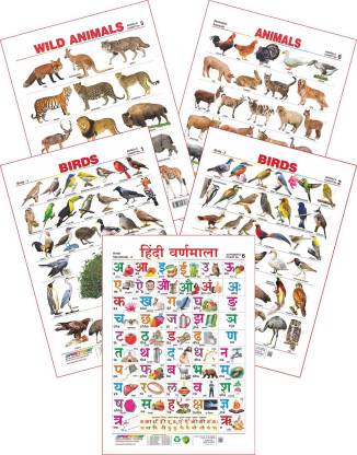 Spectrum Set of 5 Educational Wall Charts (Hindi Varnamala, Wild Animals, Domestic  Animals, Birds 1 & Birds 2) Price in India - Buy Spectrum Set of 5  Educational Wall Charts (Hindi Varnamala,