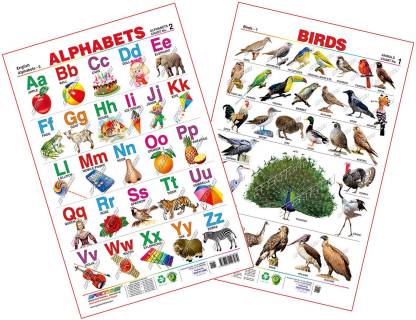 Spectrum Combo Educational Wall Chart (English Alphabets, Marathi  Mulakshare, Wild Animals & Birds Price in India - Buy Spectrum Combo  Educational Wall Chart (English Alphabets, Marathi Mulakshare, Wild Animals  & Birds online