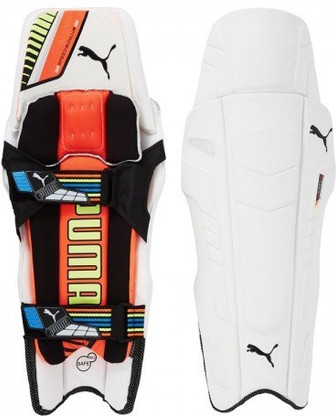puma evospeed cricket pads
