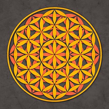 sacred geometry flower of life quotes
