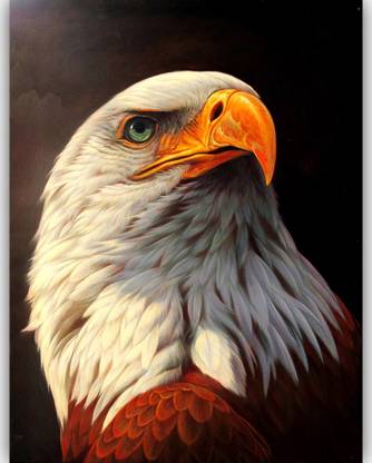 Vitalwalls Animal Premium Art Print Gallary Wrapped on Pure Wooden Frame Canvas inch x inch Painting Price in India - Buy Vitalwalls Animal Premium Art Print Gallary Wrapped on Pure Vitalwalls Animal Premium Art Print Gallary Wrapped on Pure Wooden Frame Canvas inch x inch Painting Price in India - Buy Vitalwalls Animal Premium Art Print Gallary Wrapped on Pure