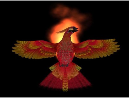 phoenix bird real