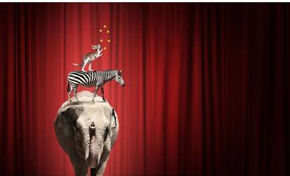 Pitaara Box Circus Animals Standing In Stack And Balancing On Ball Framed Wall Art Painting Print Canvas 12 inch x 20 inch Painting Price in India - Buy Pitaara Box Circus Animals Pitaara Box Circus Animals Standing In Stack And Balancing On Ball Framed Wall Art Painting Print Canvas 12 inch x 20 inch Painting Price in India - Buy Pitaara Box Circus Animals