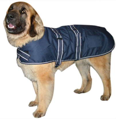 Dog jacket flipkart clearance