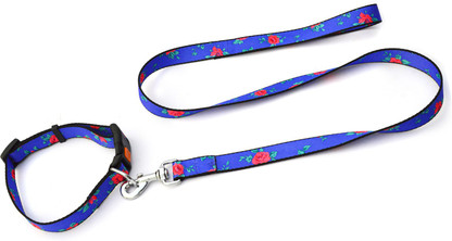 expensive dog leash