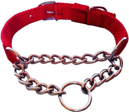 Dog chain collar india