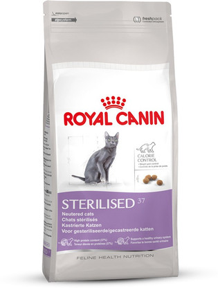 royal canin 37