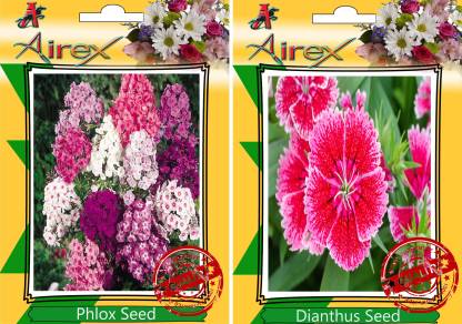 Airex Phlox Mixed Dianthus Seed Price In India Buy Airex Phlox Mixed Dianthus Seed Online At Flipkart Com