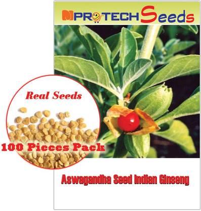 Mpro Tech Ashwagandha Indian Ginseng Withania Somnifera Winter Cherry Poison Gooseberry Seed Price In India Buy Mpro Tech Ashwagandha Indian Ginseng Withania Somnifera Winter Cherry Poison Gooseberry Seed Online At Flipkart Com