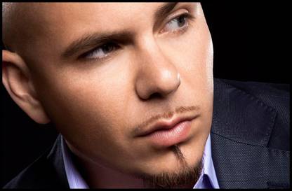 Pitbull Singer Poster Paper Print - Music posters in India - Buy art