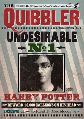 Harry Potter- Undesirable No.1 (Officially Licensed) Paper Print ...