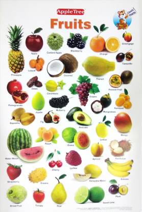 Apple Tree Fruits Preschool 1 13 5 Inch 19 5 Inch Wall Chart Photographic Paper Educational Posters In India Buy Art Film Design Movie Music Nature And Educational Paintings Wallpapers At Flipkart Com