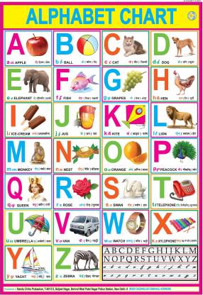 Alphabet Chart Laminated 28 Inch X 40 Inch Rolled Paper Print Educational Children Posters In India Buy Art Film Design Movie Music Nature And Educational Paintings Wallpapers At Flipkart Com