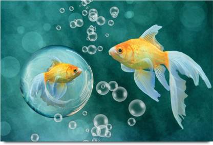 The Fish in a Bubble Aquatic Paper Print - Animals posters in India - Buy  art, film, design, movie, music, nature and educational  paintings/wallpapers at 
