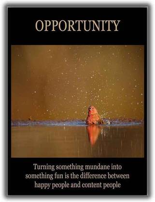Motivational Poster - OPPORTUNITY 0210 Poster Photographic Paper -  Abstract, Animals, Animation & Cartoons, Architecture, Art & Paintings,  Children, Comics, Cuisine, Decorative, Educational, Floral & Botanical,  Gaming, Humor, Maps, Minimal Art, Movies,