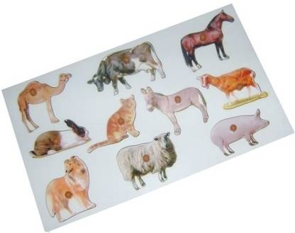 KIDO Name the Pet Animals - Name the Pet Animals . shop for KIDO products in India. Toys for 2 - 8 Years Kids. KIDO Name the Pet Animals - Name the Pet Animals . shop for KIDO products in India. Toys for 2 - 8 Years Kids.