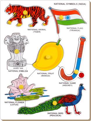 Little Genius National Symbols-India - National Symbols-India . Buy Tiger,  Peacock toys in India. shop for Little Genius products in India. Toys for  11 - 15 Years Kids. 