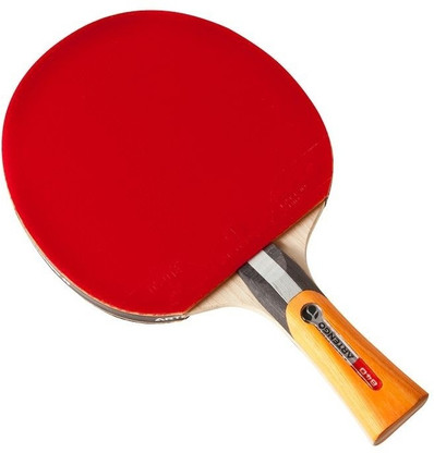 paddle racket decathlon