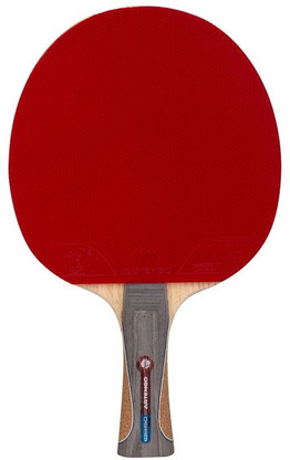 artengo table tennis table