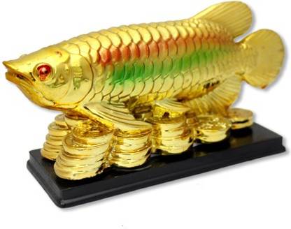 7 Ocean Feng Shui Golden Arowana Fish Decorative Showpiece 8 Cm Price In India Buy 7 Ocean Feng Shui Golden Arowana Fish Decorative Showpiece 8 Cm Online At Flipkart Com