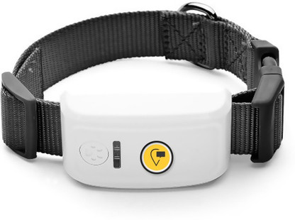 Gps tracker for cats price in india clearance