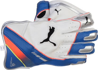 puma evopower wicket keeping gloves
