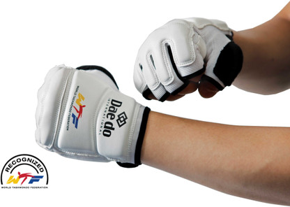 hand gloves in taekwondo