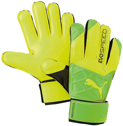 puma evospeed goalkeeper gloves