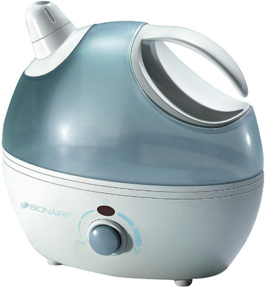 bionaire home steamer