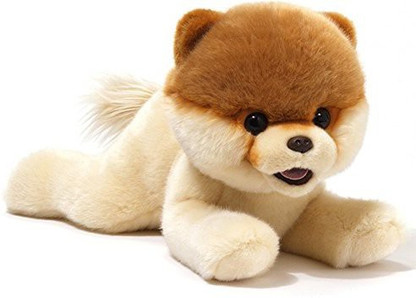 boo the dog teddy