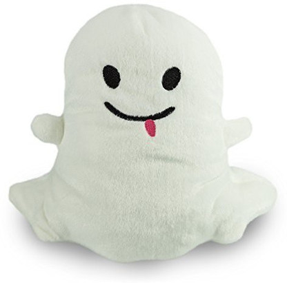 Snapchat backpack clearance