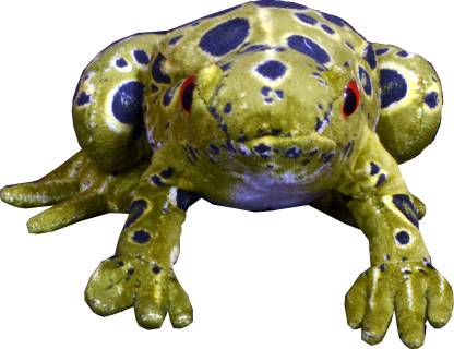 Play N Pets Soft Frog  - 9.44 inch