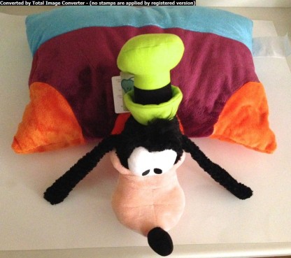 goofy pillow pet