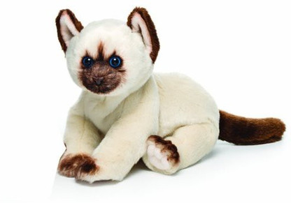 himalayan cat plush